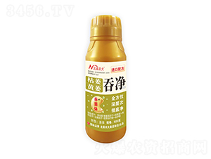 ��ή�Sή�̃�-�����r��