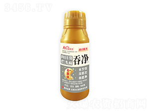 ���տ����^���̃�-�����r��