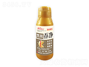 �ڰ��̃�-�����r��