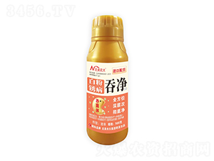 �׷��P���̃�-�����r��