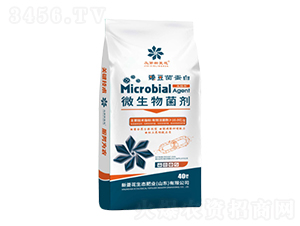 微生物菌劑粉劑-臻豆菌蛋白-新菱花