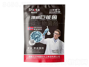 微生物菌劑-挪威巨能菌-施狀達(dá)-優(yōu)盾農(nóng)業(yè)