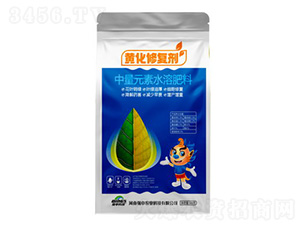 �S���ޏ�(f��)��-����Ƽ�