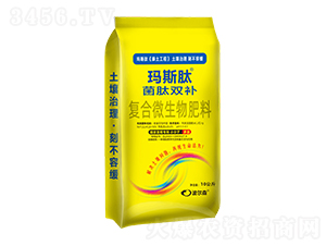 �����p�a(b��)��(f��)��΢�������-��˹��-����ɭ