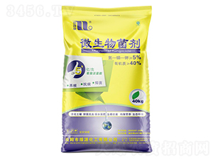 ΢�������-����Ȫ-�A���������F