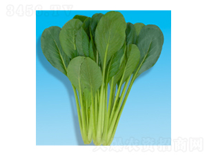 С�ɲ˷N��-����-�A孷N�I(y��)