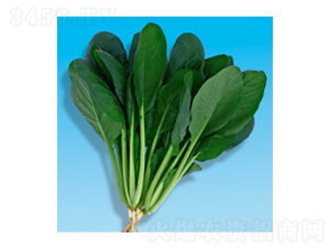 С�ɲ˷N��-����-�A孷N�I(y��)