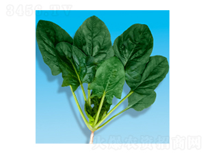 ���˷N��-孲�203-�A孷N�I(y��)