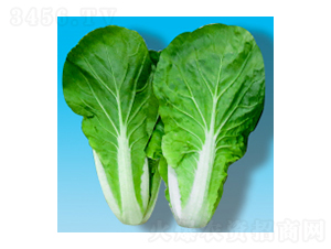 ��˷N��-����325-�A孷N�I(y��)