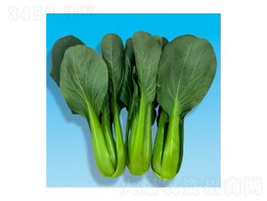 �๣�˷N��-�L���L(f��ng)-�A孷N�I(y��)