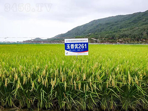 ���マ(y��u)261-ˮ���N��-�𽡷N�I(y��)