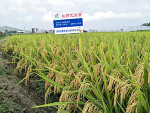 ���Ƀ�(y��u)�z��-ˮ���N��-�𽡷N�I(y��)