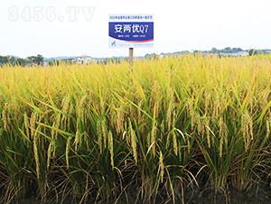 ���Ƀ�(y��u)Q7-ˮ���N��-�𽡷N�I(y��)