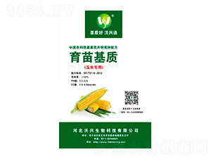 ���׌���������|(zh��)-���d����