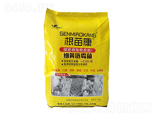 ���S�ù��-���翵-�ڼژ�