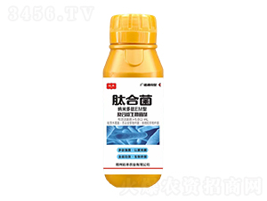復合微生物菌劑-肽合菌-彩豐農(nóng)業(yè)