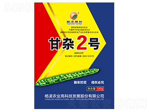 甘雜2號-油菜種子-秦豐種業(yè)