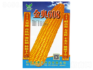 ���W608-���׷N��-���S�N�I(y��)