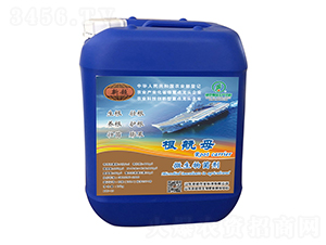 ΢�������-����ĸ-�³��r(n��ng)�I(y��)