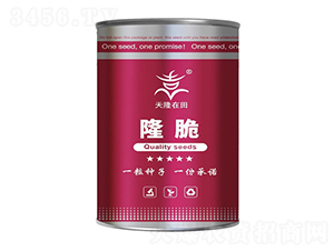 隆脆系列-天隆在田-天隆農(nóng)業(yè)