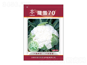 隆雪70-天隆在田-天隆農(nóng)業(yè)