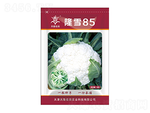 隆雪85-天隆在田-天隆農(nóng)業(yè)