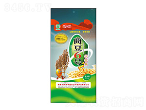 商豆6號大豆種-豐田農(nóng)業(yè)