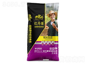 �t�������@����-����Ԫ-��W(w��ng)(li��n)