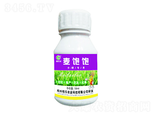 50mlС�������~���-����-�㘷�r(n��ng)�I(y��)