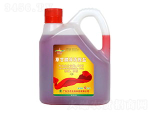 41%�ݸ�좮������}���r�_�ͣ�-�t����-�V�|���r