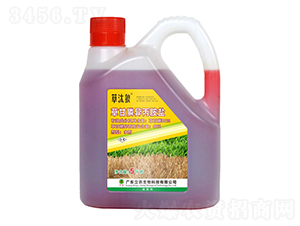 41%�ݸ�좮������}���r�_�ͣ�-��̭��-�V�|���r