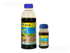 20%���ݿ�-������-�V�|���r