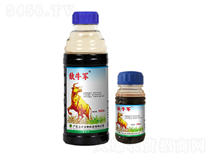 20%���ݿ�-��ţ܊-�V�|���r