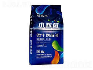 ΢�������-С����-�����S-�Ѓ|�r(n��ng)�I(y��)