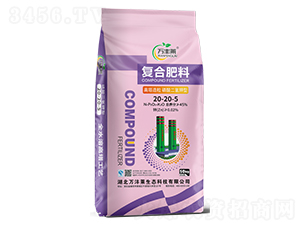 �����������������͏�(f��)�Ϸ�20-20-5-�f(w��n)�S�R-�Dؐ