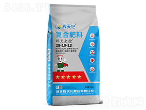 �x��ȫ�؏�(f��)�Ϸ���28-10-13-�x�컯-�Dؐ