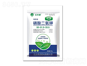 �W����������0-52-34-�|�̿�-���Z�ʘI(y��)