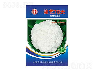 ���˷N��-��ˇ70��-���S�r(n��ng)�I(y��)