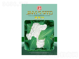 ���˷N��-����70-���S�r(n��ng)�I(y��)