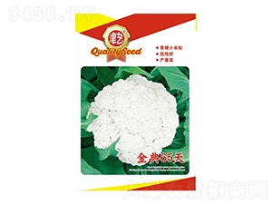 ���˷N��-���65��-���S�r(n��ng)�I(y��)