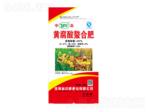 �S�������Ϸ�-����-�зʷʘI(y��)