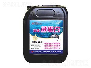 �����~(y��)����-�����r(n��ng)��