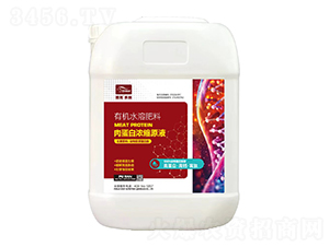 �⵰�ם�sԭ�{-���۶�ʩ