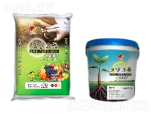 ��������-�����(sh��)����