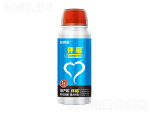 �������a(ch��n)��-�鵾-���p��-��ɽ�p��