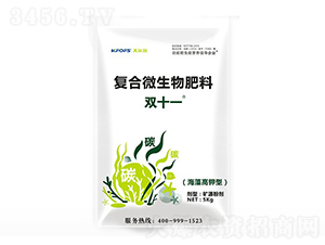 �pʮһ��(f��)��΢����-����ʩ