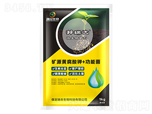 �VԴ�S�����+���ܾ�-�����_(d��)-�������