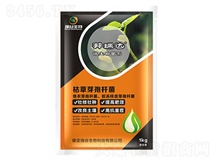 �ݲ�ѿ�ߗU��-�����_(d��)-�������