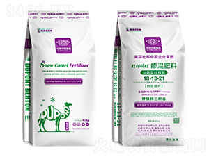 �����Ϳ�ጷ�18-13-21-�Ű��O��-�Ű�