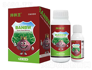 �����-��ţ���H